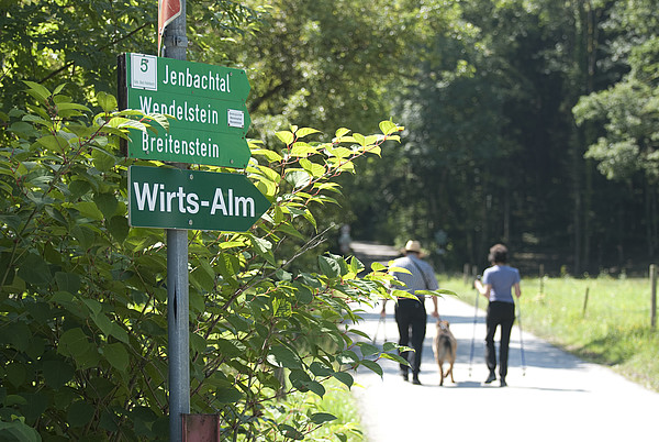 Wandern auf der Straße zum oberen Jenbachtalparkplatz 