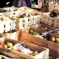 Apfelmarkt